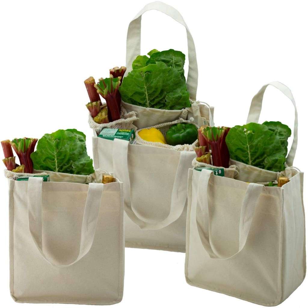 Organic Cotton Canvas Tote Bag - Avani Tote