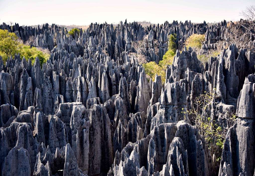 unique locations in africa,. stone forest 